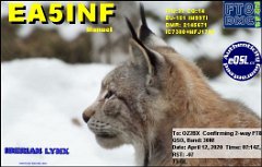EA5INF